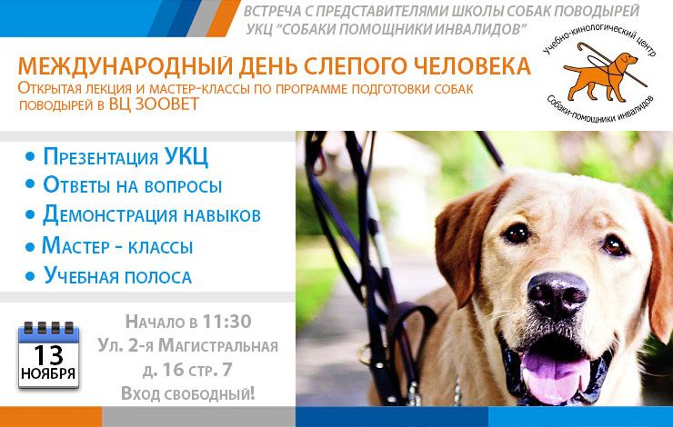 День слепого человека