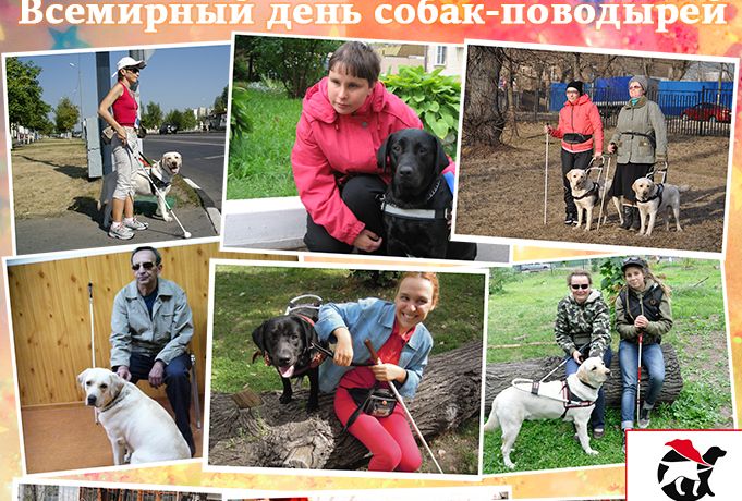 День собак-поводырей