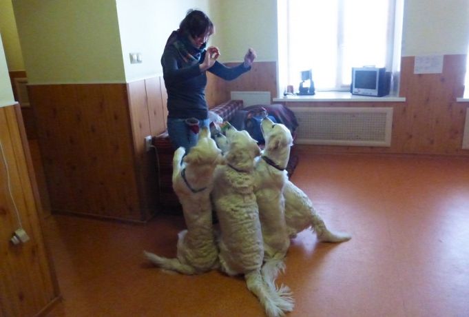 День открытых дверей в центре