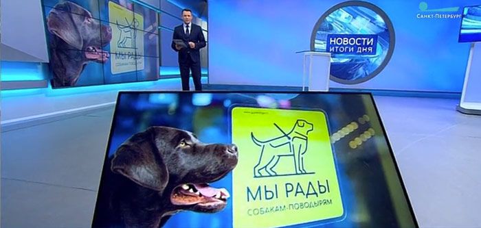 Мы рады собакам-поводырям в Манеже