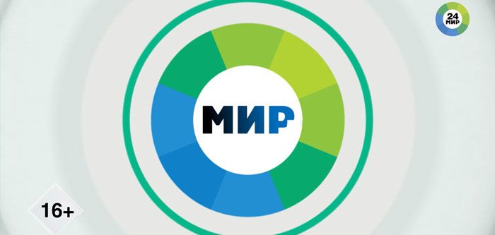 Лабрадор или овчарка: как выбрать собаку-поводыря