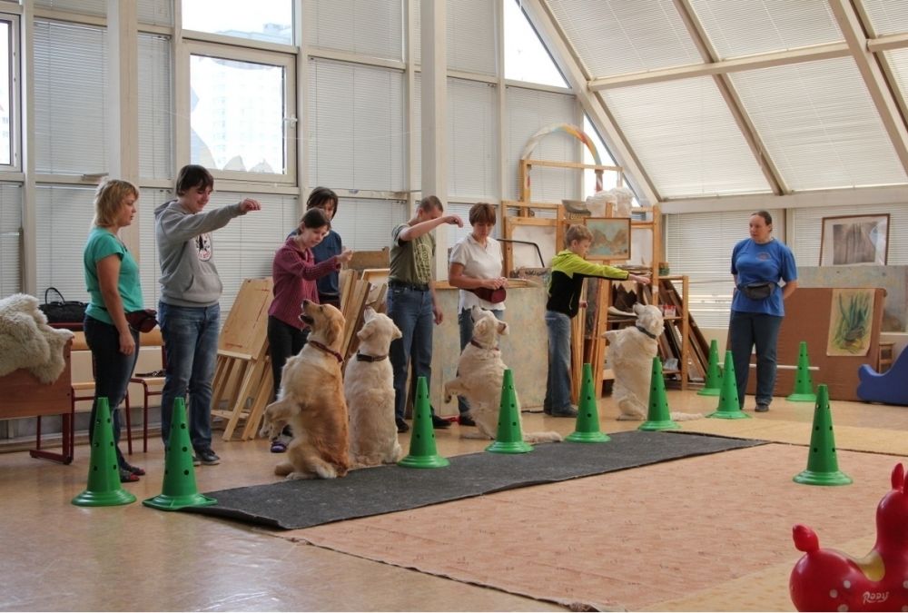 Семинар Солнечного пса