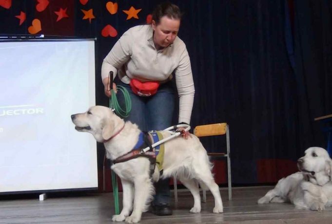 В гости к школьникам