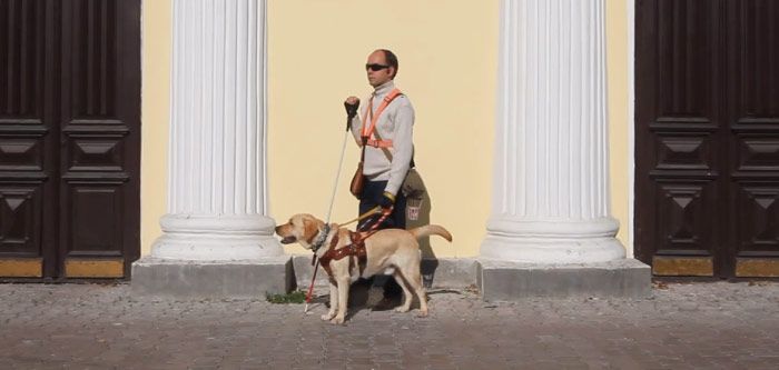 Как реагируют на собаку-поводыря