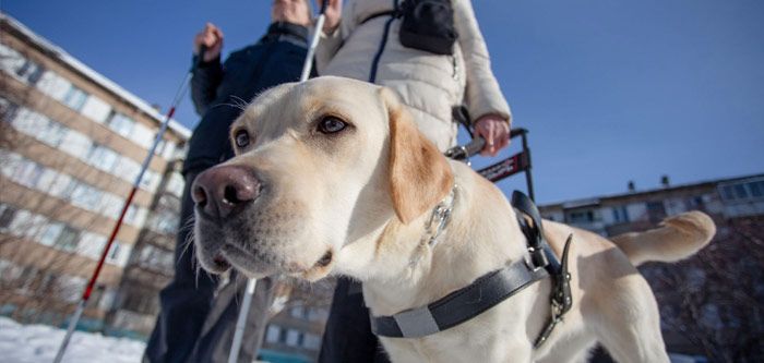 Она — что-то между мамой и другом