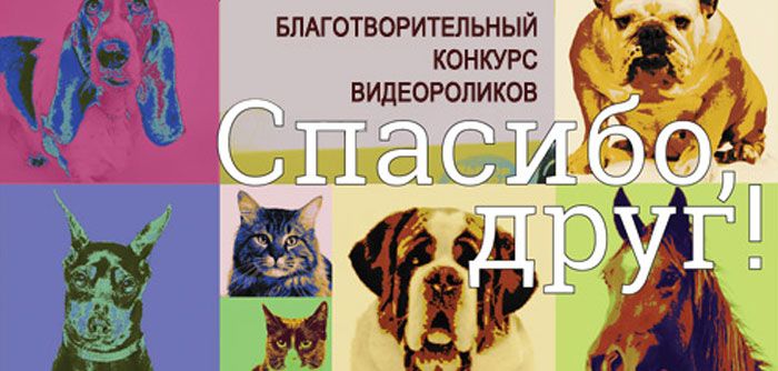 Конкурс Дарвиновского музея