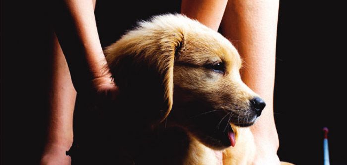 Статья в Аэроэкcпресс