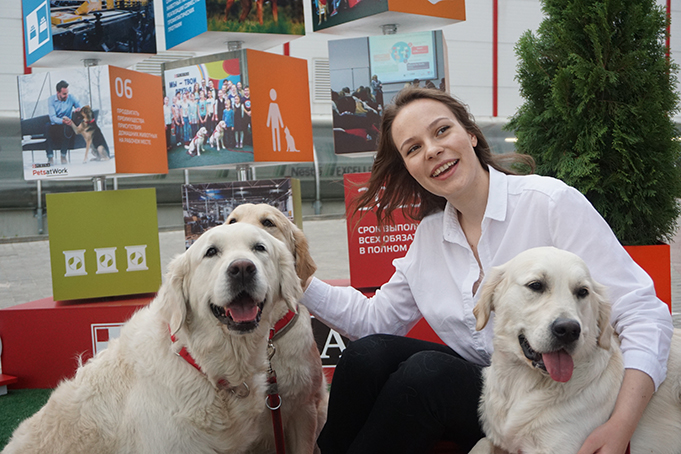 Nestle и собаки-поводыри