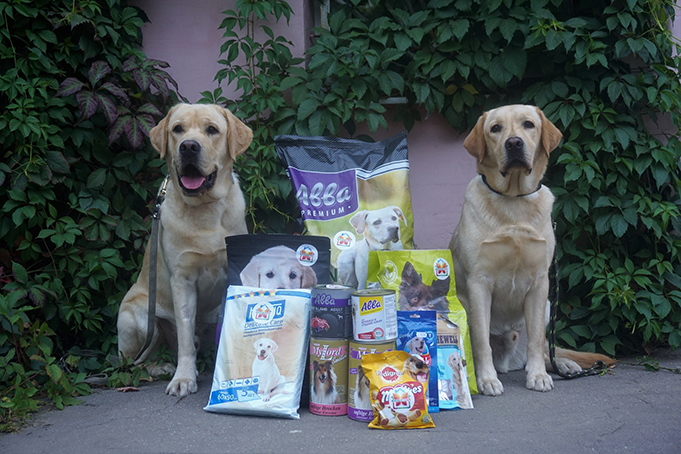 Акция Добролам и поводыри