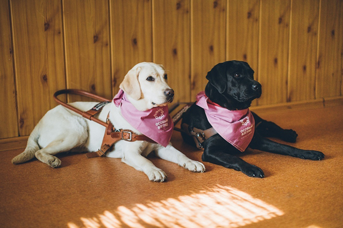 победители