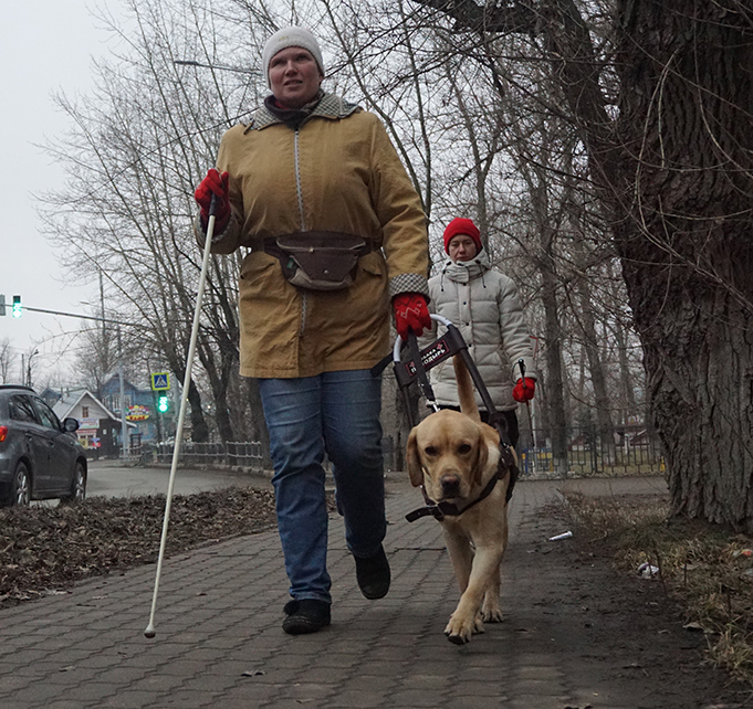 Честер: собака-поводырь