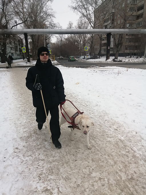 собака-поводырь в челябенске