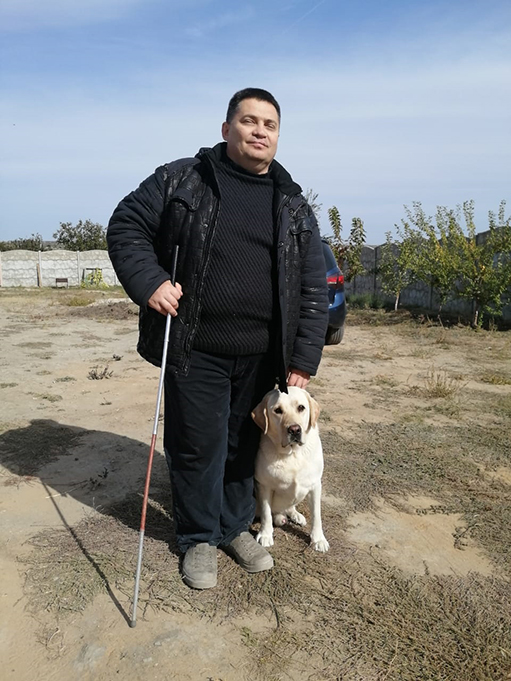 волгоград рой