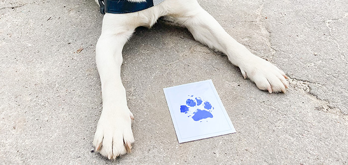 Благотворительность вместо сувениров 2021