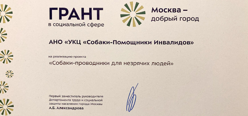 «Москва — добрый город»: итоги реализации проекта