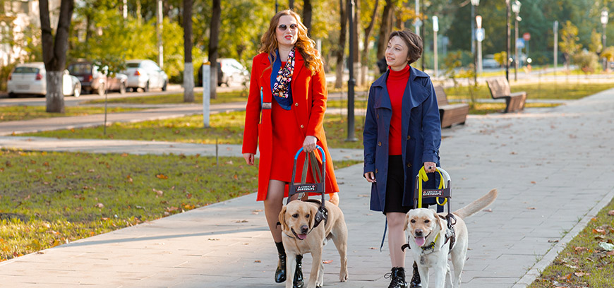 Международный день собак-поводырей