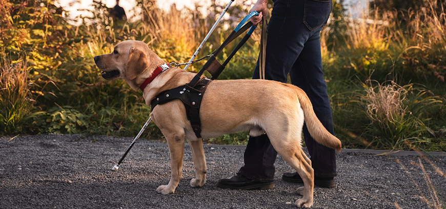 Кураторство с программой «Особый взгляд»