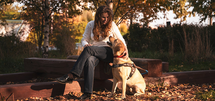 Социальный проект Яндекса «Помощь рядом»