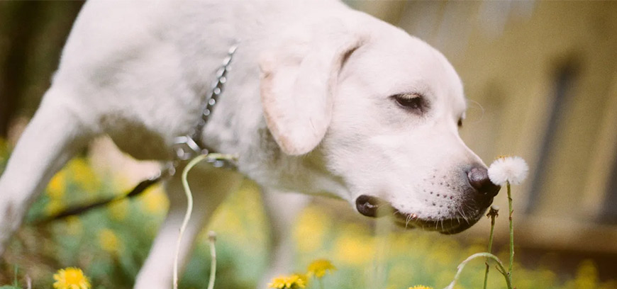 Марго на Т—Ж