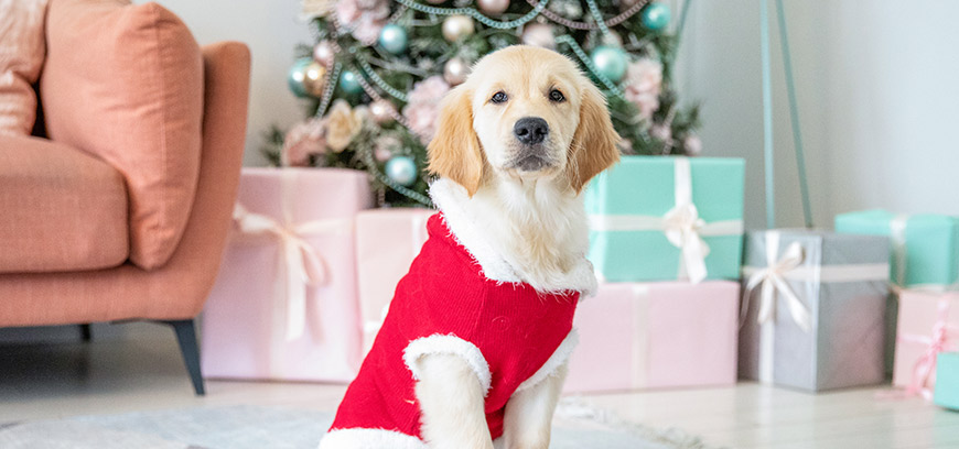 Новогодняя акция