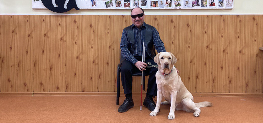 выпускник собаки-поводыри