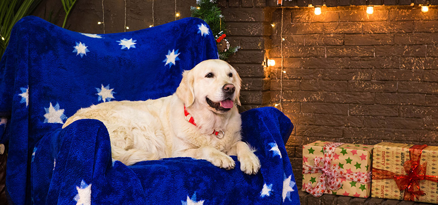 с новым годом