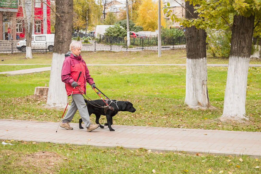 Марафон добрых дел