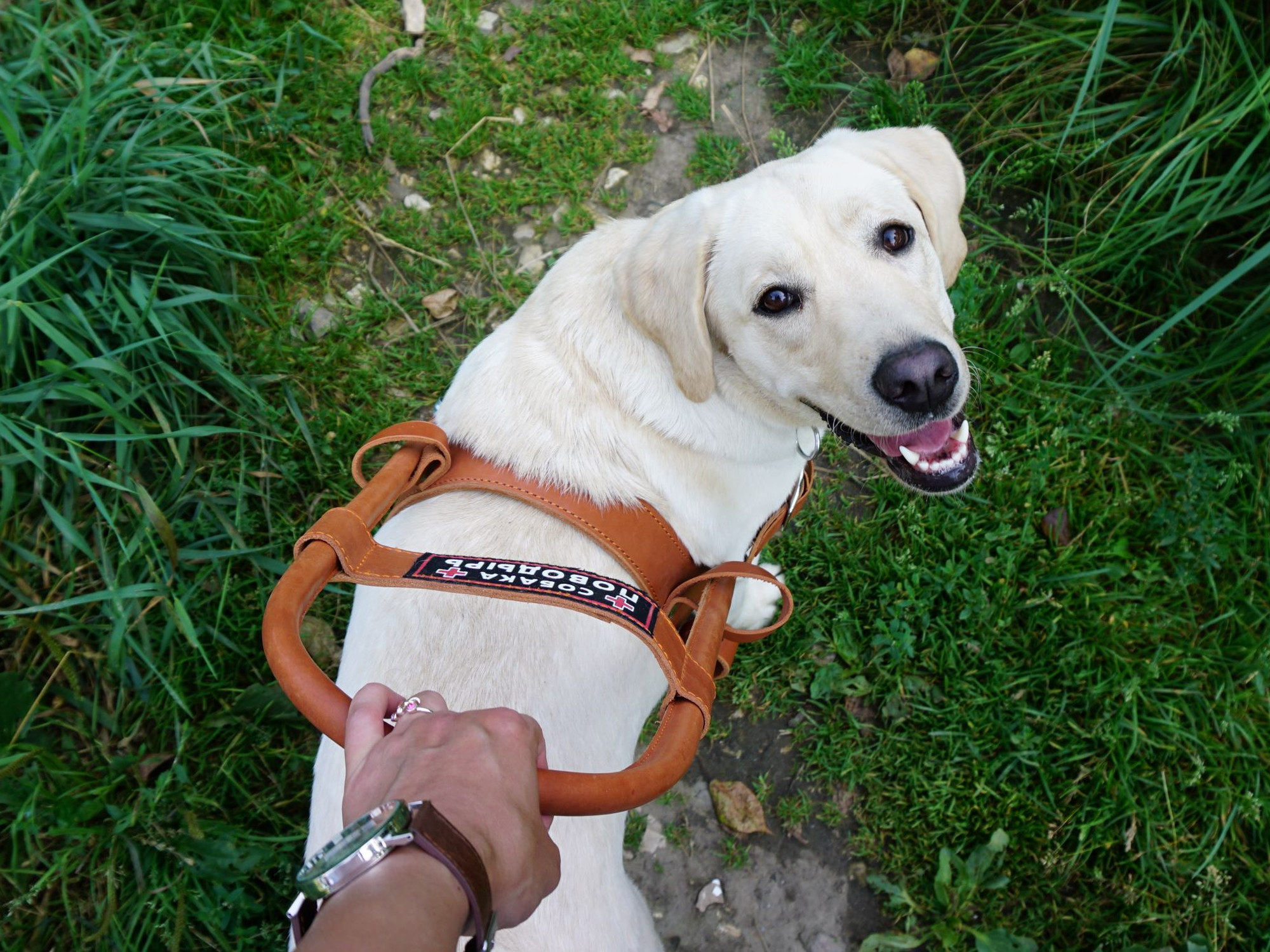 Следуй за мной!